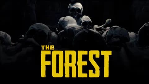 The Forest